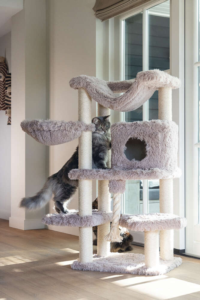 beeztees Kratzbaum Duco